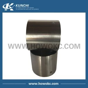 199014520191 Balance Shaft Bushing Sinotruk STR