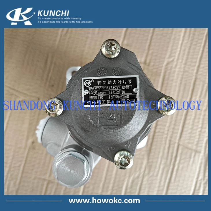 steering pump WG972547803